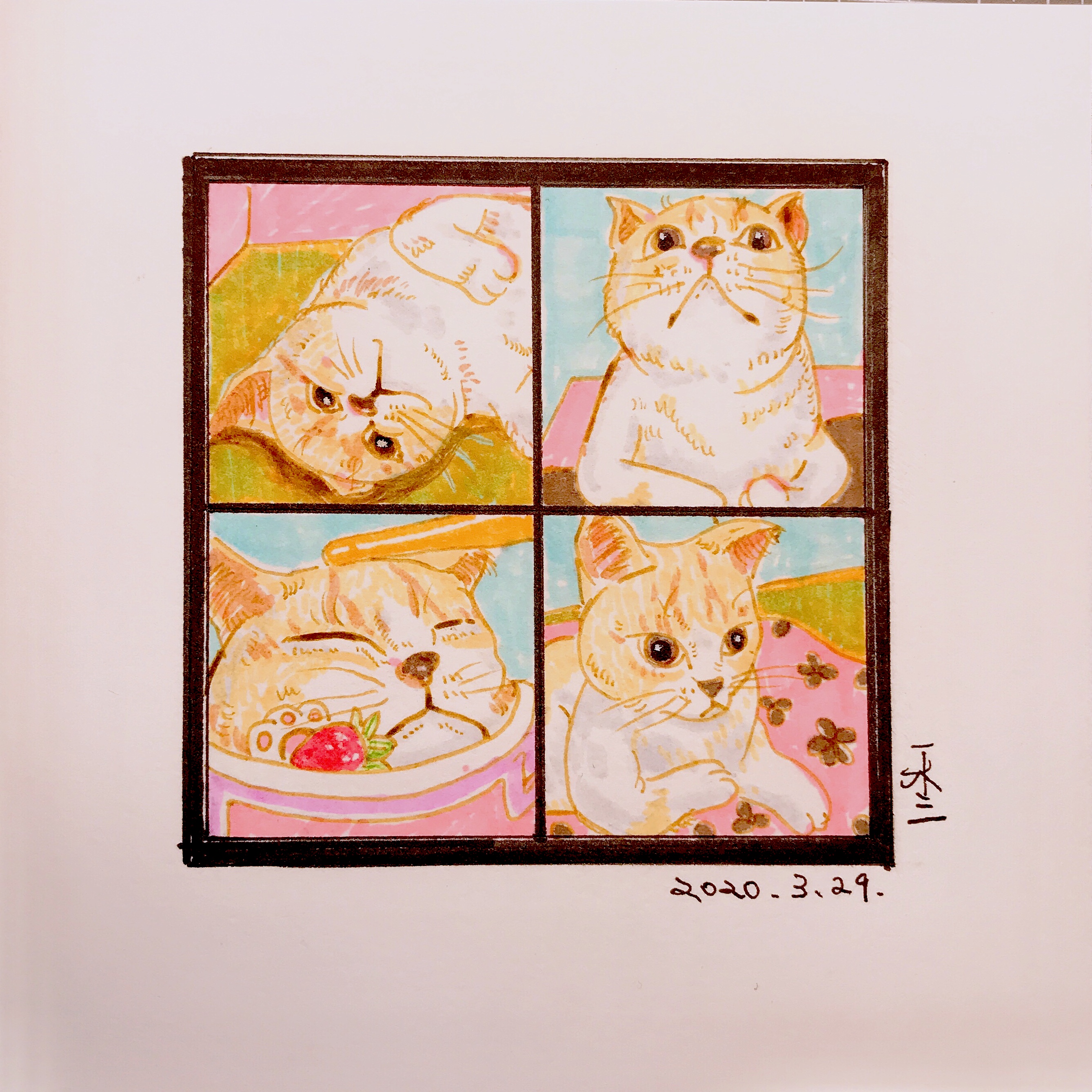 四格猫,2020,马克笔,水彩纸,13.5 x 13.5 cm.