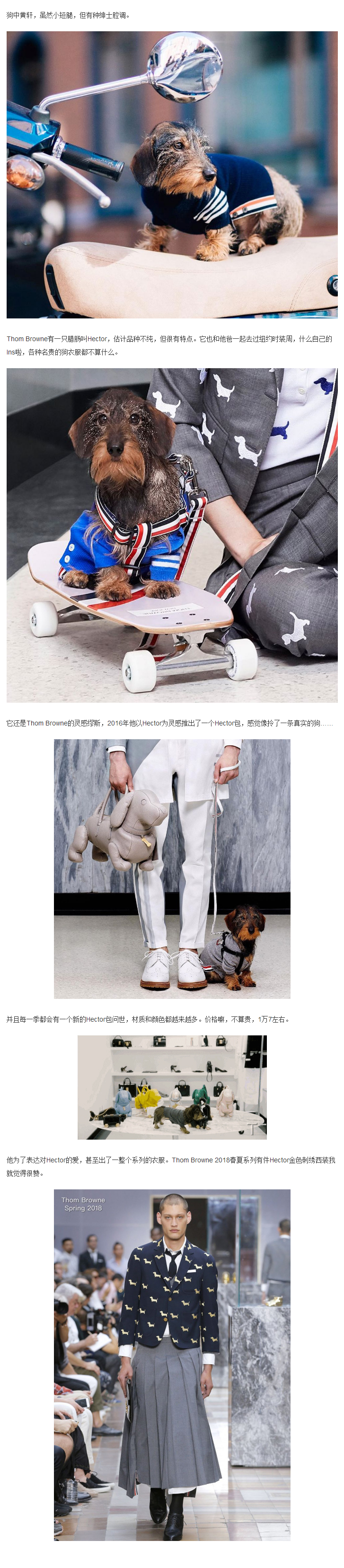 你不知道的全球网红狗,原来它们是时尚界的萌宠超模!