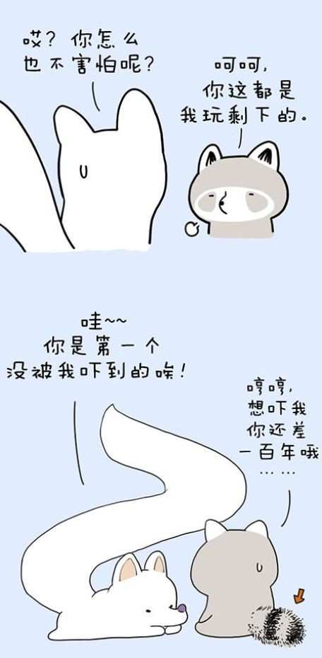 浣熊无二一席演讲,那些脑洞大开的插画是怎么来的?