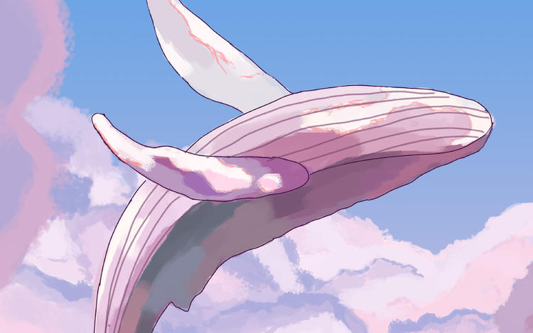 粉团云鲸鱼