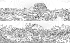 花茶系列包裝插畫設計圖片