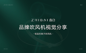 【 直白 ZHIBAI 】恒温负离子吹风机设计图片