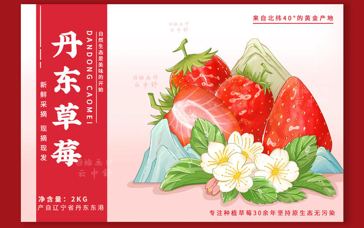 原创丹东草莓国风包装设计|水果包装设计图片