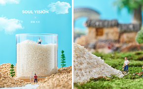 大米产品创意拍摄丨微景观丨电商产品静物摄影设计图片