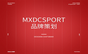 MXDCSPORT麦斯迪森电商品牌设计（页面+详情）设计图片