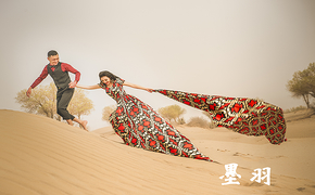 婚纱照#沙漠婚纱设计图片