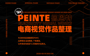 2020-PEINTE电商合集