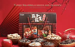 【三只松鼠·瓜子花生唠嗑装】零食大礼包设计图片