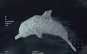 C4Dの海豚｜线体设计